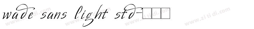wade sans light std字体转换